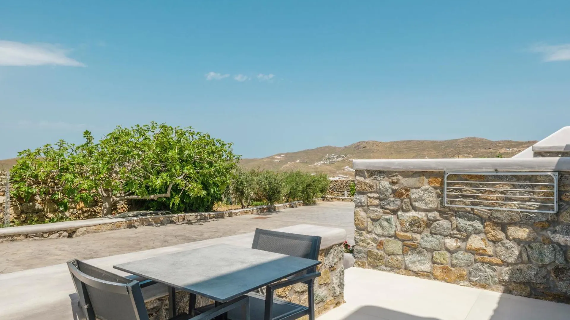 Ftelia Bay Boutique Hotel Ftelia (Mykonos)
